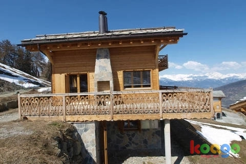 KARTALKAYADA ŞÖMİNELİ GÜNLÜK KİRALIK DAĞ EVİ