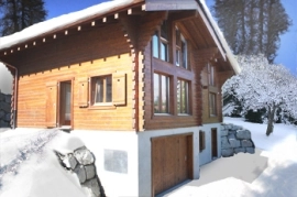 abant dag evi tamara VİLLA