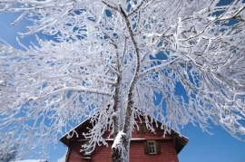 BOLU KARTALKAYA DAĞ EVİ