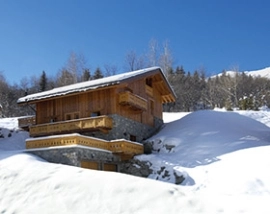           KARTEPE Günlük Kiralık Dağ Evi  SAPANCA DAG EVI 